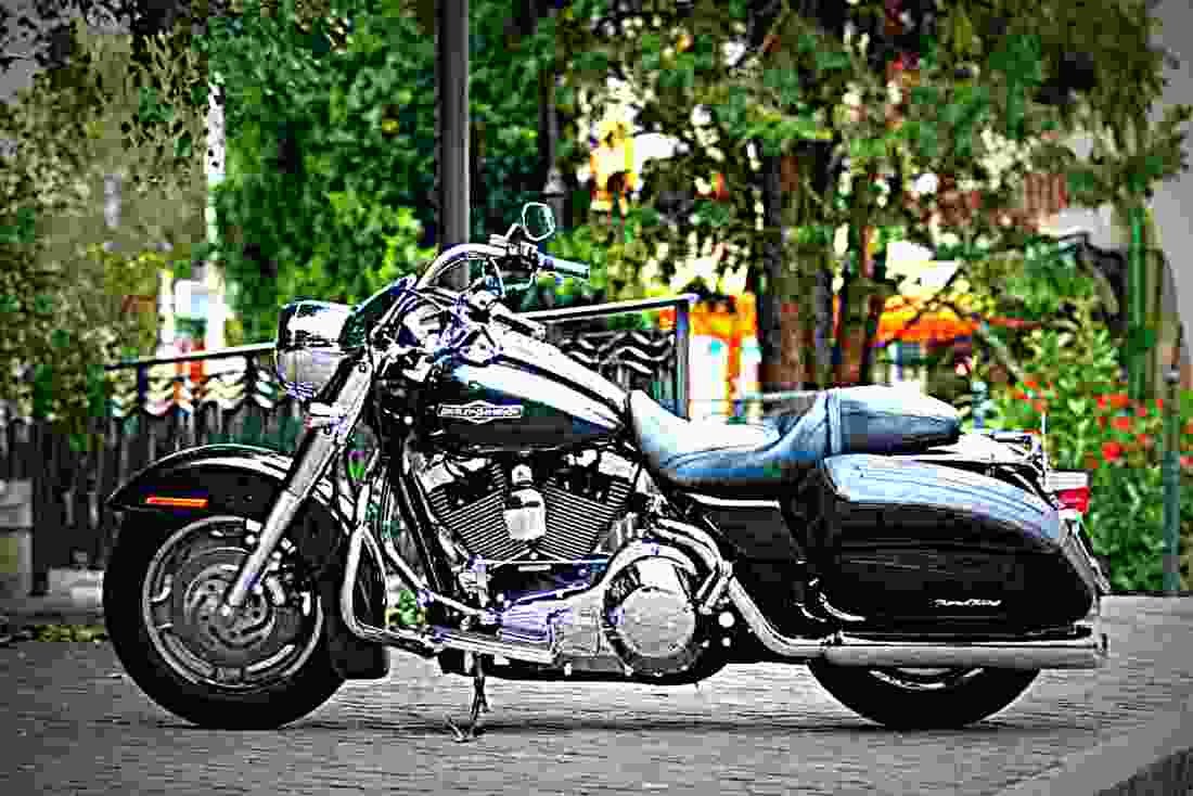 Harley Davidson Softail Standard 2001 1 motorbike A4 Photo Print