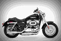 Harley Davidson Sportster 1200 Custom 2017 1 motorbike A4 Photo Print