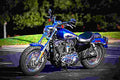 Harley Davidson Sportster 1200 Custom 2017 2 motorbike A4 Photo Print