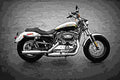 Harley Davidson Sportster 1200 Custom 2018 1 motorbike A4 Photo Print