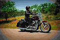 Harley Davidson Sportster Superlow 2017 4 motorbike A4 Photo Print