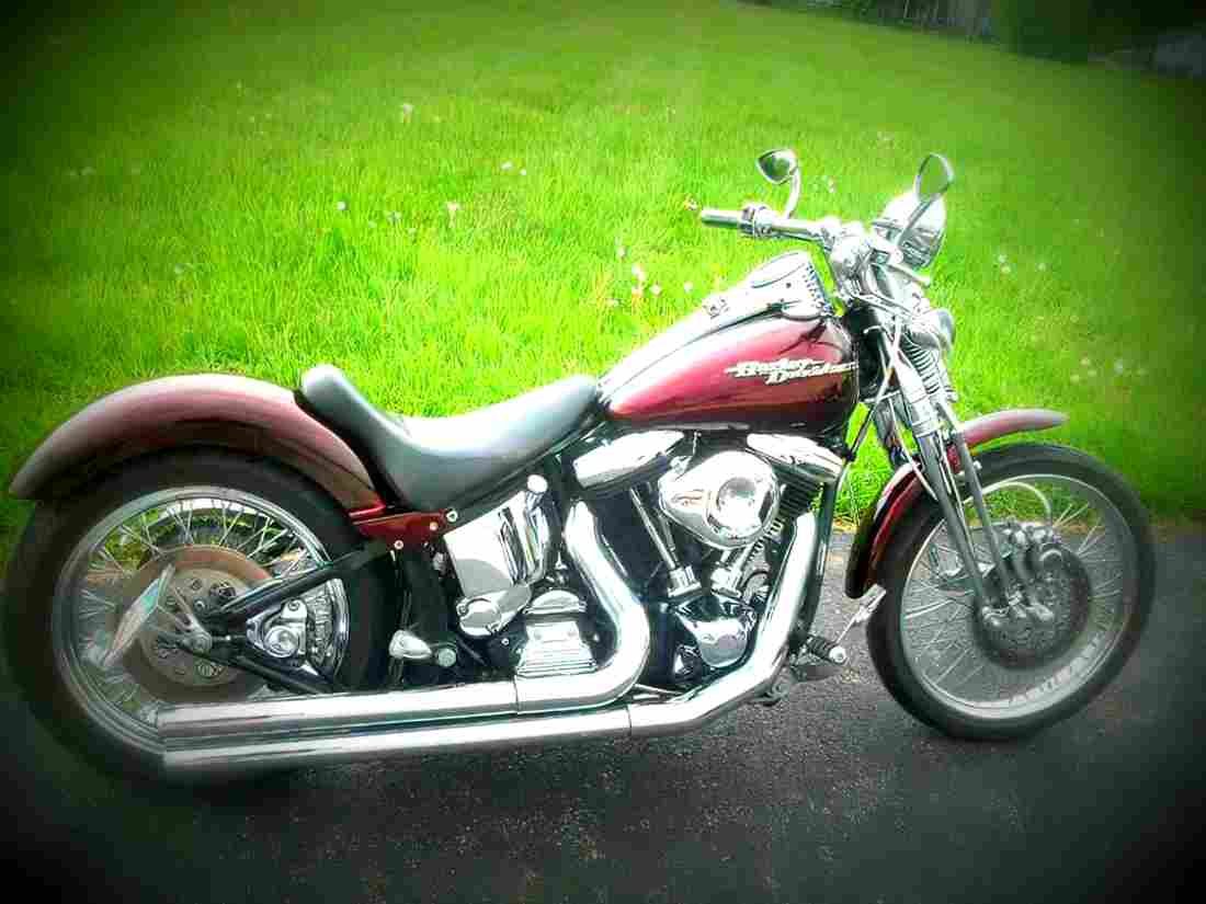 Harley Davidson Springer Softail 1990 2 motorbike A4 Photo Print