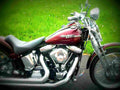 Harley Davidson Springer Softail 1990 4 motorbike A4 Photo Print