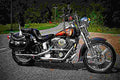 Harley Davidson Springer Softail 1990 5 motorbike A4 Photo Print