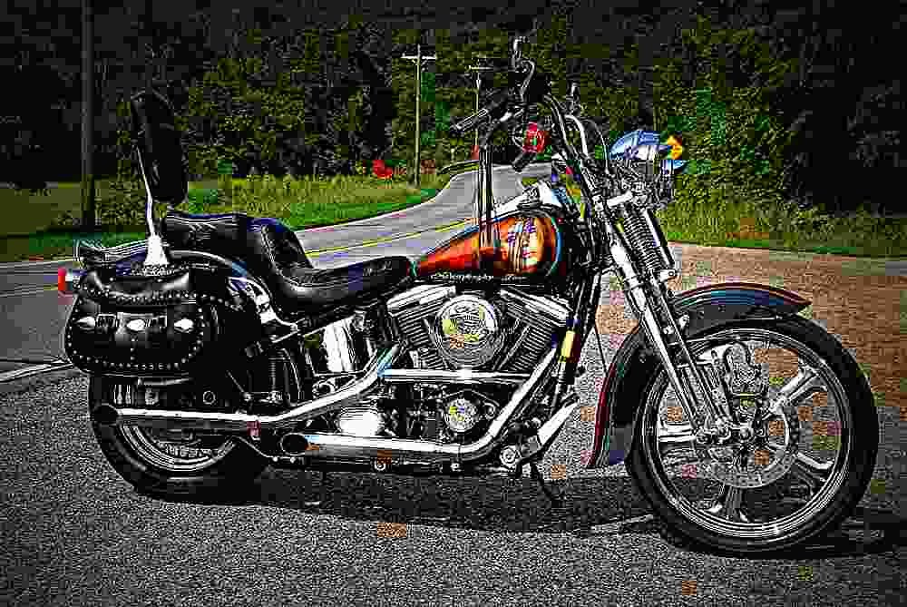 Harley Davidson Springer Softail 1990 5 motorbike A4 Photo Print