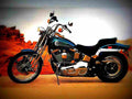 Harley Davidson Springer Softail 1999 4 motorbike A4 Photo Print