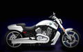 Harley Davidson VRSCF V ROD MUSCLE VRSCF V ROD MUSCLE (2009) 1 motorbike A4 Photo Print