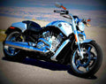 Harley Davidson VRSCF V ROD MUSCLE VRSCF V ROD MUSCLE (2009) 6 motorbike A4 Photo Print