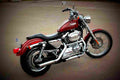Harley Davidson XL 1200 Custom 2000 3 motorbike A4 Photo Print