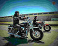 Harley Davidson XL 1200 Custom 2002 1 motorbike A4 Photo Print