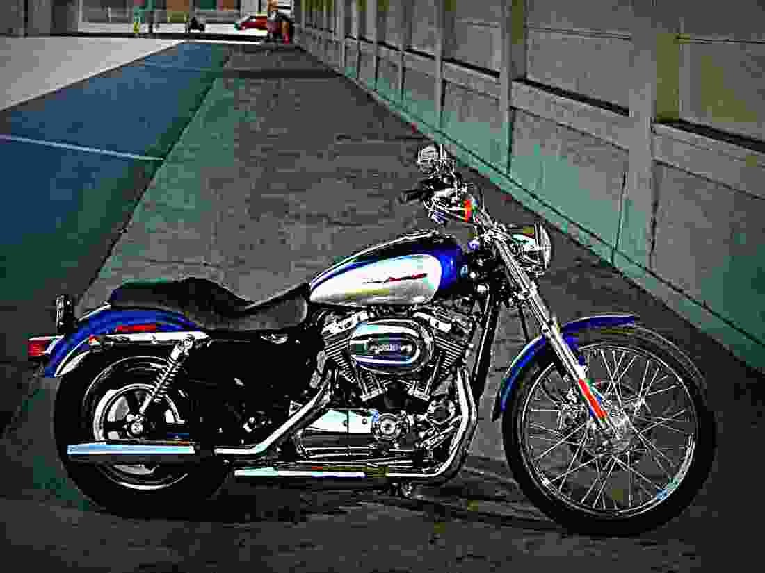 Harley Davidson XL 1200 Custom 2004 3 motorbike A4 Photo Print