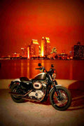Harley Davidson XL 1200N Nightster 1200cc 1 motorbike A4 Photo Print