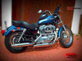 Harley Davidson XLH 883 Hugger 2000 2 motorbike A4 Photo Print