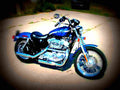 Harley Davidson XLH 883 Hugger 2003 1 motorbike A4 Photo Print