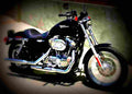 Harley Davidson XLH 883 Hugger 2003 2 motorbike A4 Photo Print