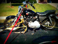 Harley Davidson XLH 883 Hugger (reduced effect) 1991 2 motorbike A4 Photo Print