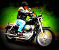 Harley Davidson XLH 883 Roadster 2000 4 motorbike A4 Photo Print