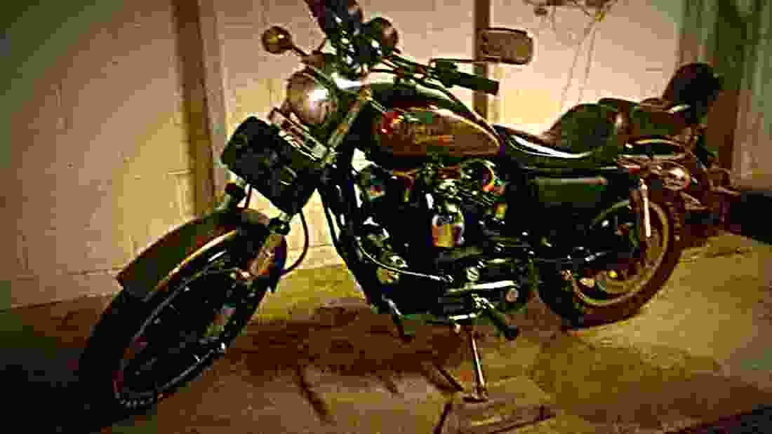 Harley Davidson XLS 1000 Roadster 1980 3 motorbike A4 Photo Print