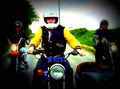 Harley Davidson XLS 1000 Roadster 1985 3 motorbike A4 Photo Print