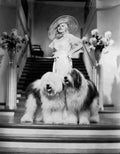 Harlow Jean Bombshell 2 film star poster A4 Photo Print