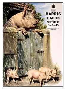 Harris Bacon 155 Vintage Advert A4 Photo Print