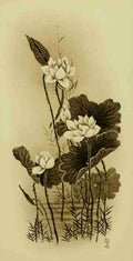 Hasu The Lotus Mythological Japan 1902 Vintage A4 Photo Print