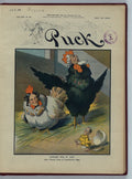 Hatched one at last PUCK A4 Photo Print
