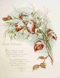 Havergal Frances Ridley Fulness of Joy 1886 Advent Thoughts A4 Photo Print