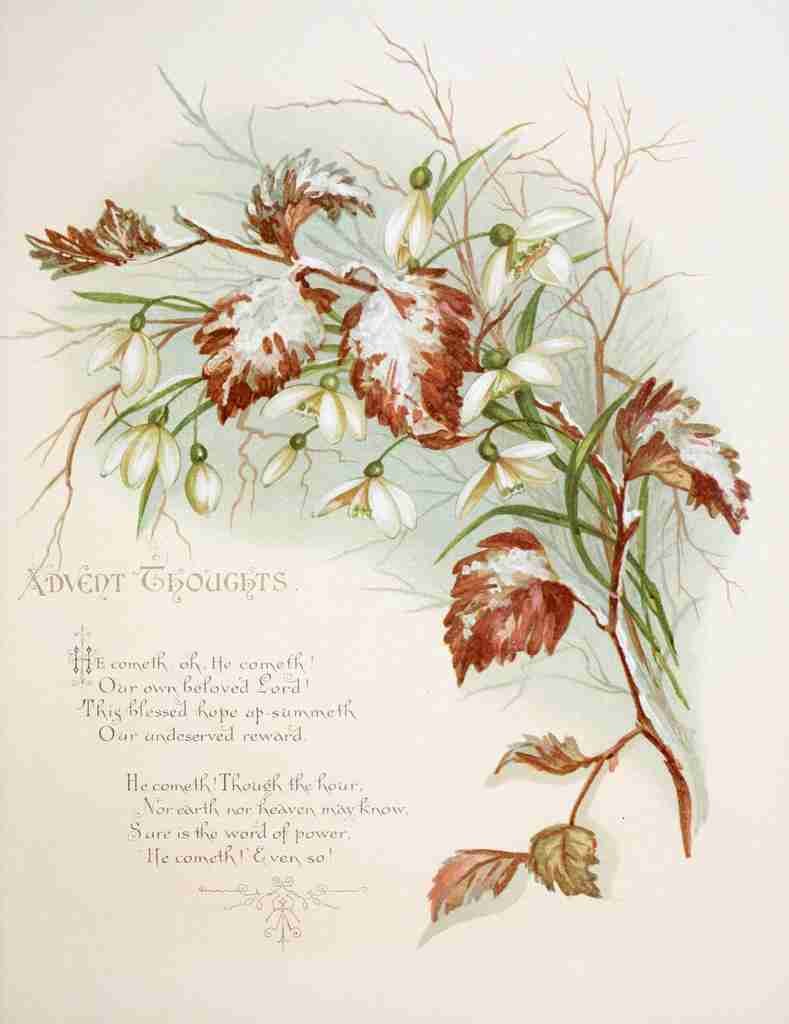 Havergal Frances Ridley Fulness of Joy 1886 Advent Thoughts A4 Photo Print