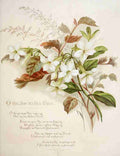 Havergal Frances Ridley Fulness of Joy 1886 O joy to see Thee A4 Photo Print