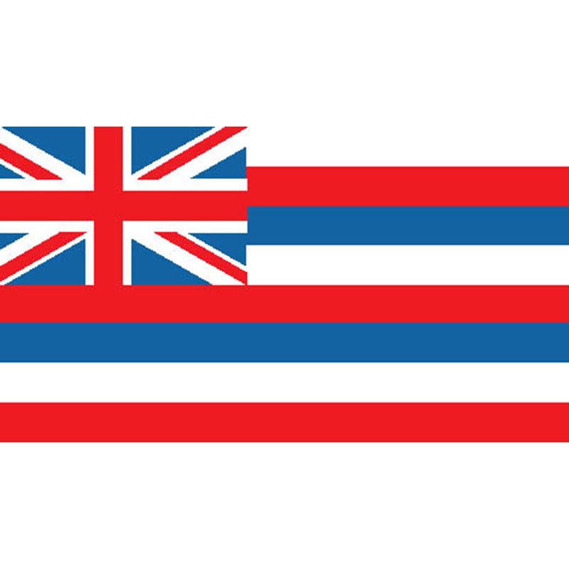 Hawaii Flag N390 A4 Photo Print