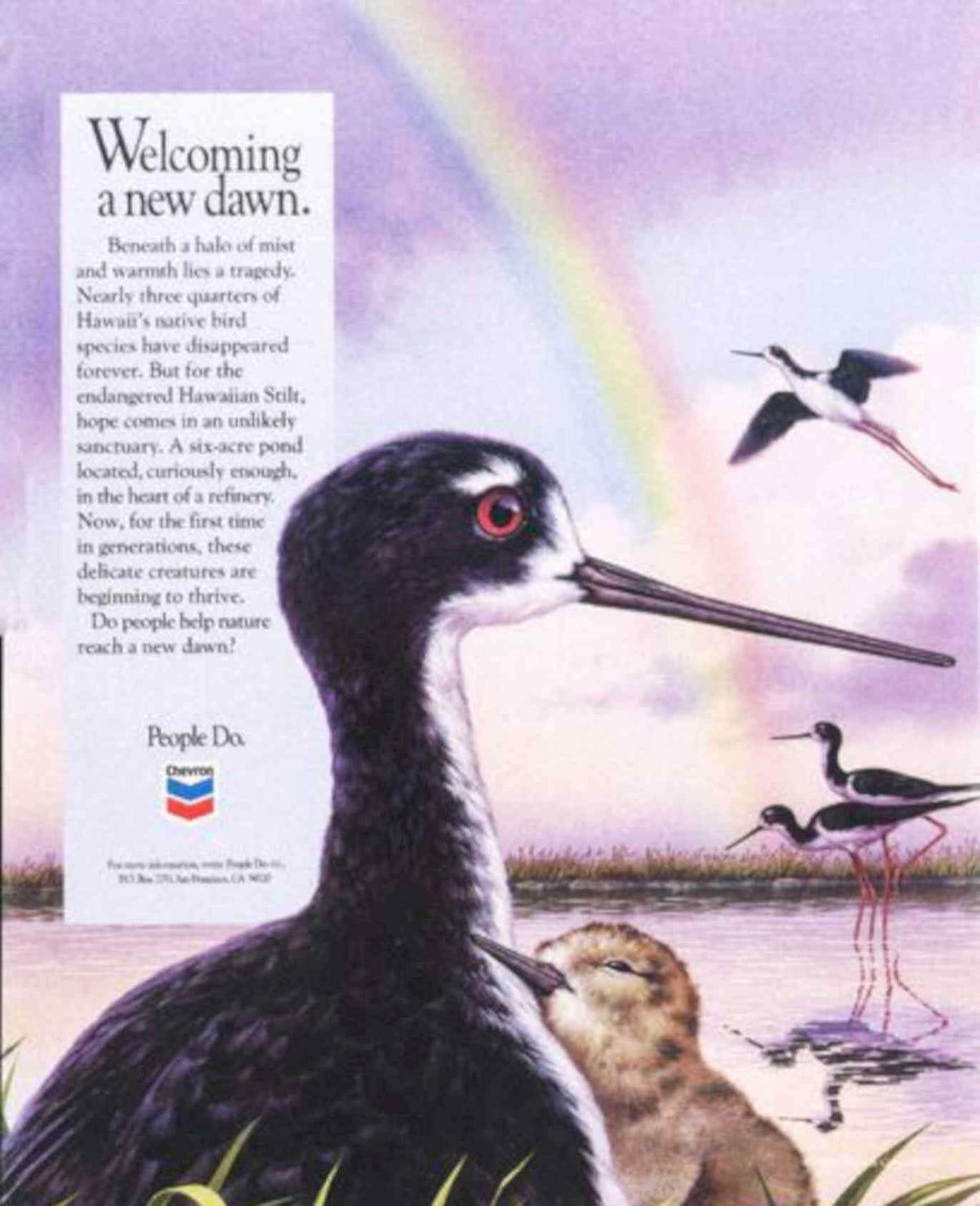 Hawaiian Stilt Bird Vintage Retro Advert Poster A4 Photo Print