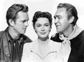 Hayden Sterling Flaming Feather 2 film star poster A4 Photo Print