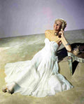 Hayworth Rita Lady From Shanghai The 7 film star poster A4 Photo Print