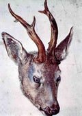 Head Of A Deer Durer A4 Photo Print