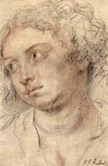 Head Of A Woman 3 Rubens A4 Photo Print