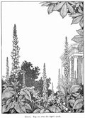 Heath Robinson 1131 Vintage Illustration A4 Photo Print