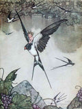 Heath Robinson 3006 Vintage Illustration A4 Photo Print