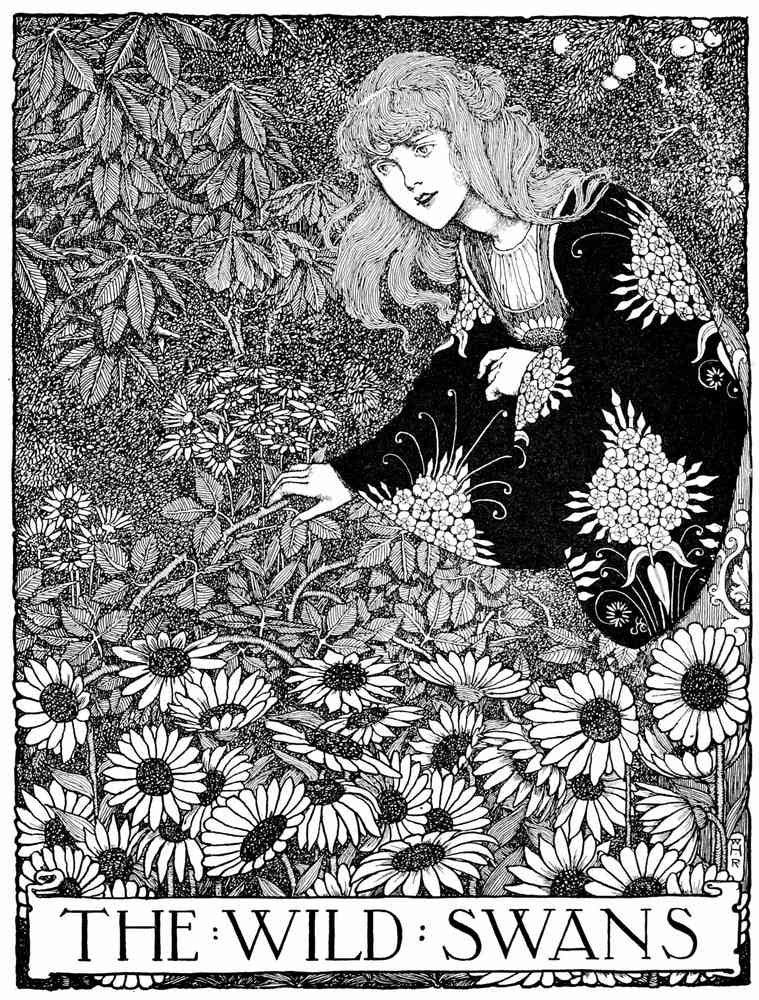 Heath Robinson 3041 Vintage Illustration A4 Photo Print