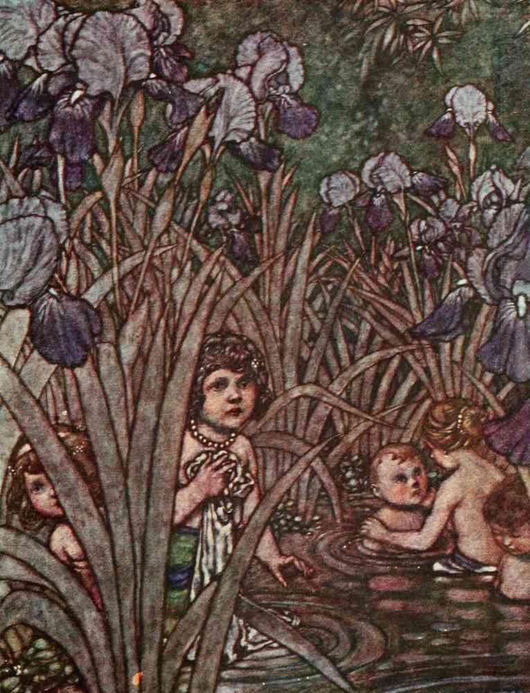 Heath Robinson 3091 Vintage Illustration A4 Photo Print