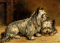 Hedley Ralph Two Terriers A4 Photo Print