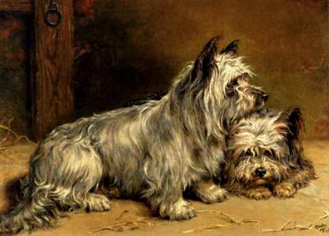 Hedley Ralph Two Terriers A4 Photo Print