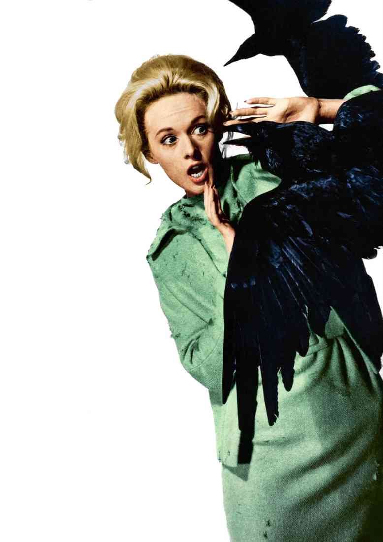 Hedren Tippi Birds The 08 A4 Photo Print