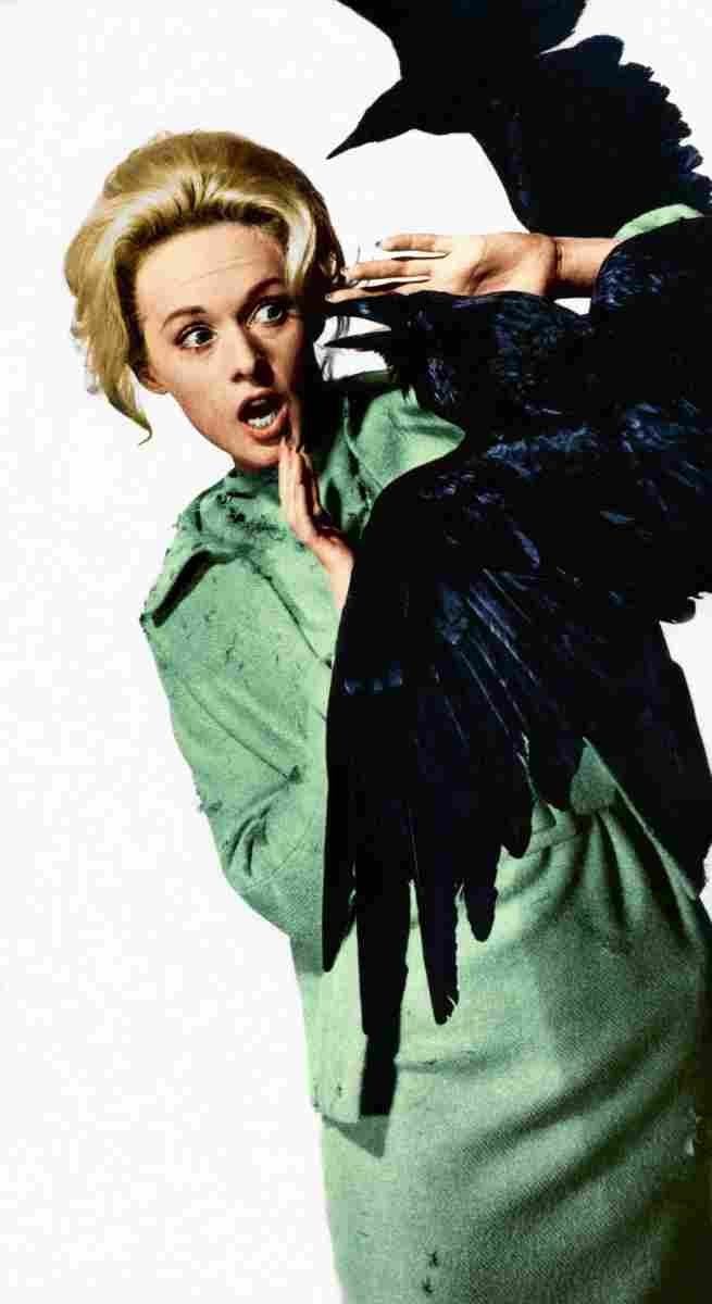 Hedren Tippi Birds The 08 film star poster A4 Photo Print