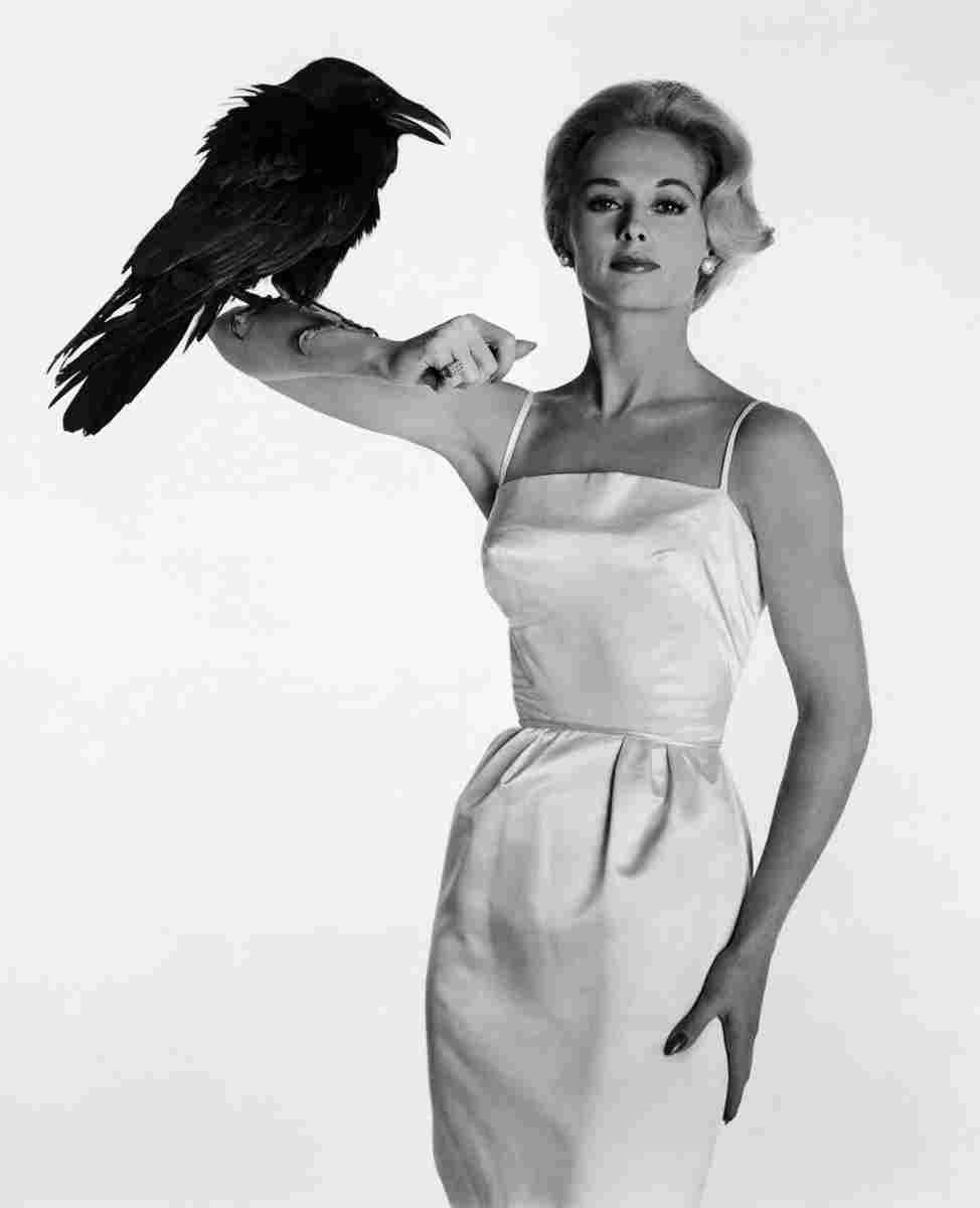 Hedren Tippi Birds The 2 film star poster A4 Photo Print