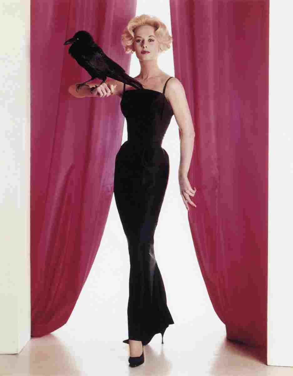 Hedren Tippi Birds The z18 film star poster A4 Photo Print