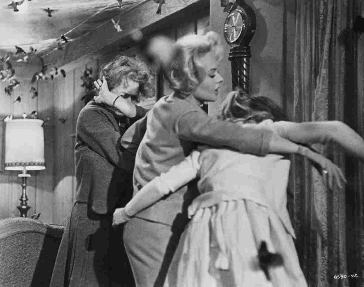 Hedren Tippi Birds The z5 film star poster A4 Photo Print