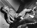 Hedren Tippi Birds The z6 film star poster A4 Photo Print