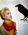 Hedren Tippi Birds The z8 film star poster A4 Photo Print