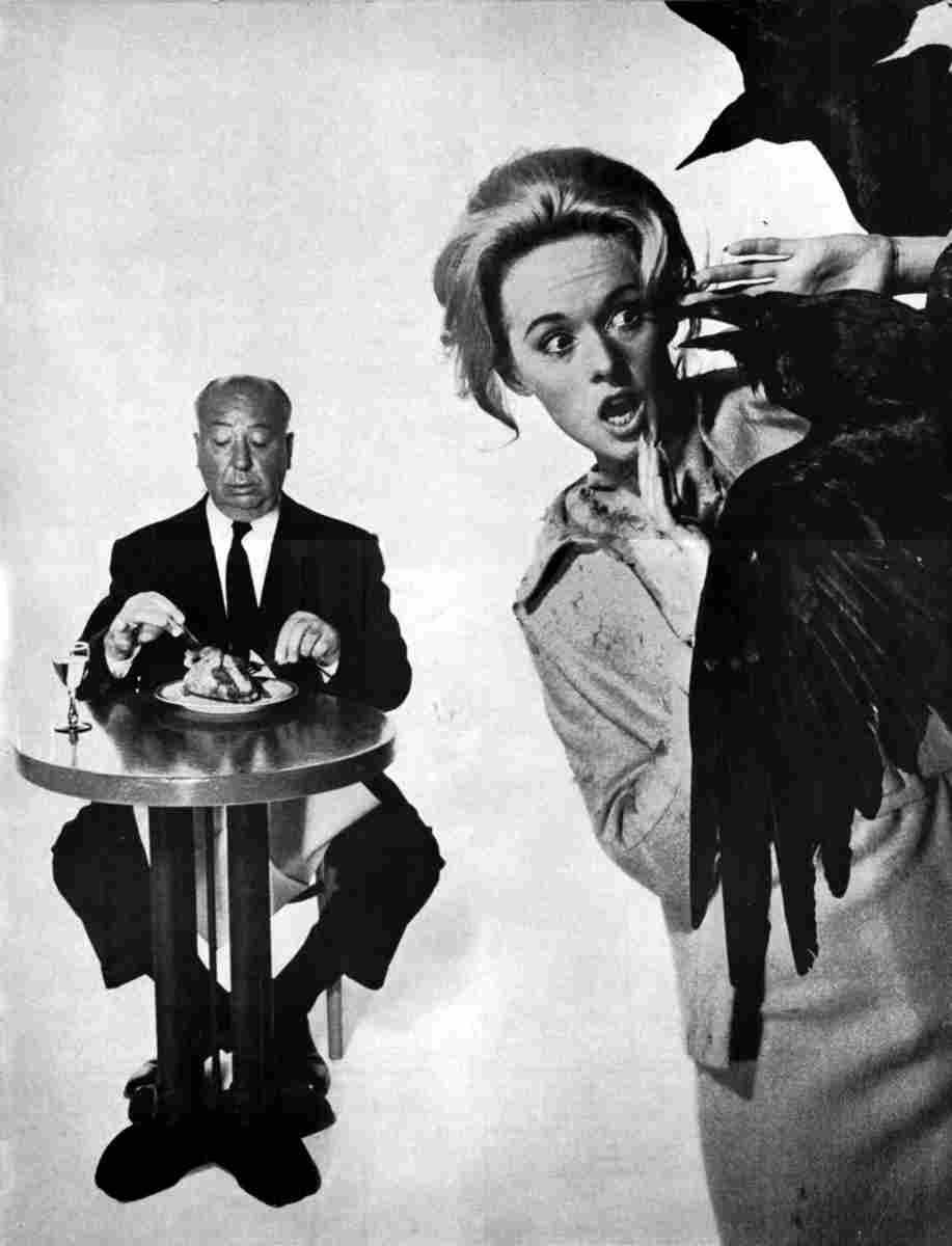 Hedren Tippi Birds The z9 film star poster A4 Photo Print